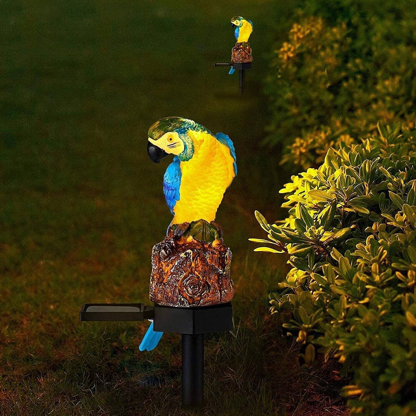 Lampe Solaire - LEDGardenStick™ - Perroquet Bleu