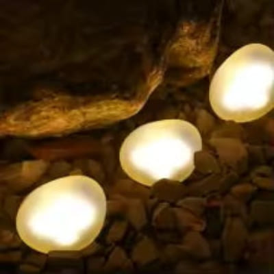 Eclairage de jardin en trio illumine dans la nuit