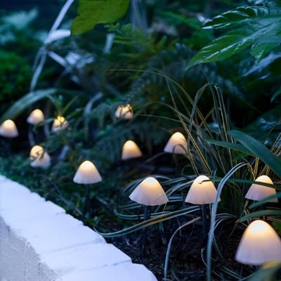 guirlande lumineuse extérieur dans plate bande