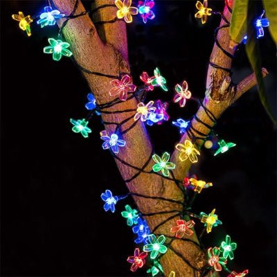 guirlande solaire exterieur multicolore dans arbre