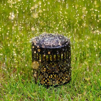 Lanterne extérieur pivoine sous la pluie