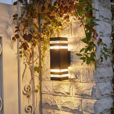 Éclairage extérieur LED sur mur de pierre avec plante