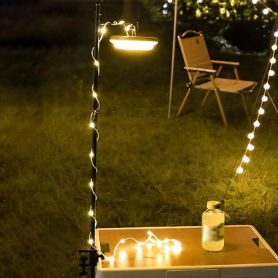 guirlande lumineuse eclaire le jardin
