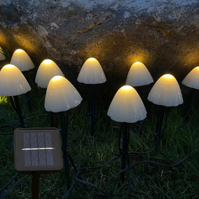 guirlande lumineuse extérieur blanc chaud