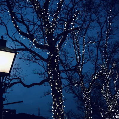 guirlande lumineuse solaire exterieur couleure blanc froid