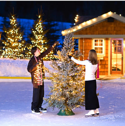 guirlande lumineuse solaire exterieur installée dans sapin