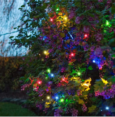 Guirlande solaire LED multicolore effet féerique dans l'arbre