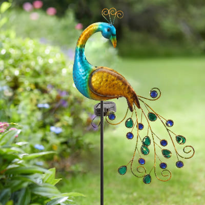 lampe exterieur paon jour-dans jardin