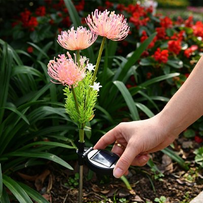 Lampes solaires pour le jardin installation rapide